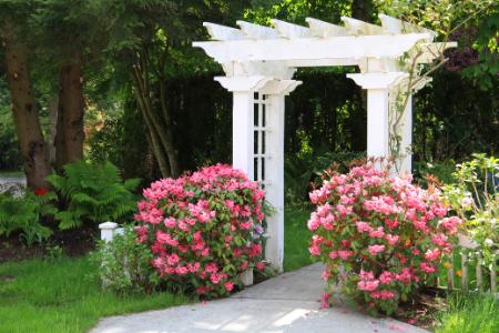 Landscape Installation Around Patios and Walkways