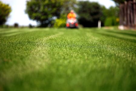 When to Start Spring Lawn Care in Herrin