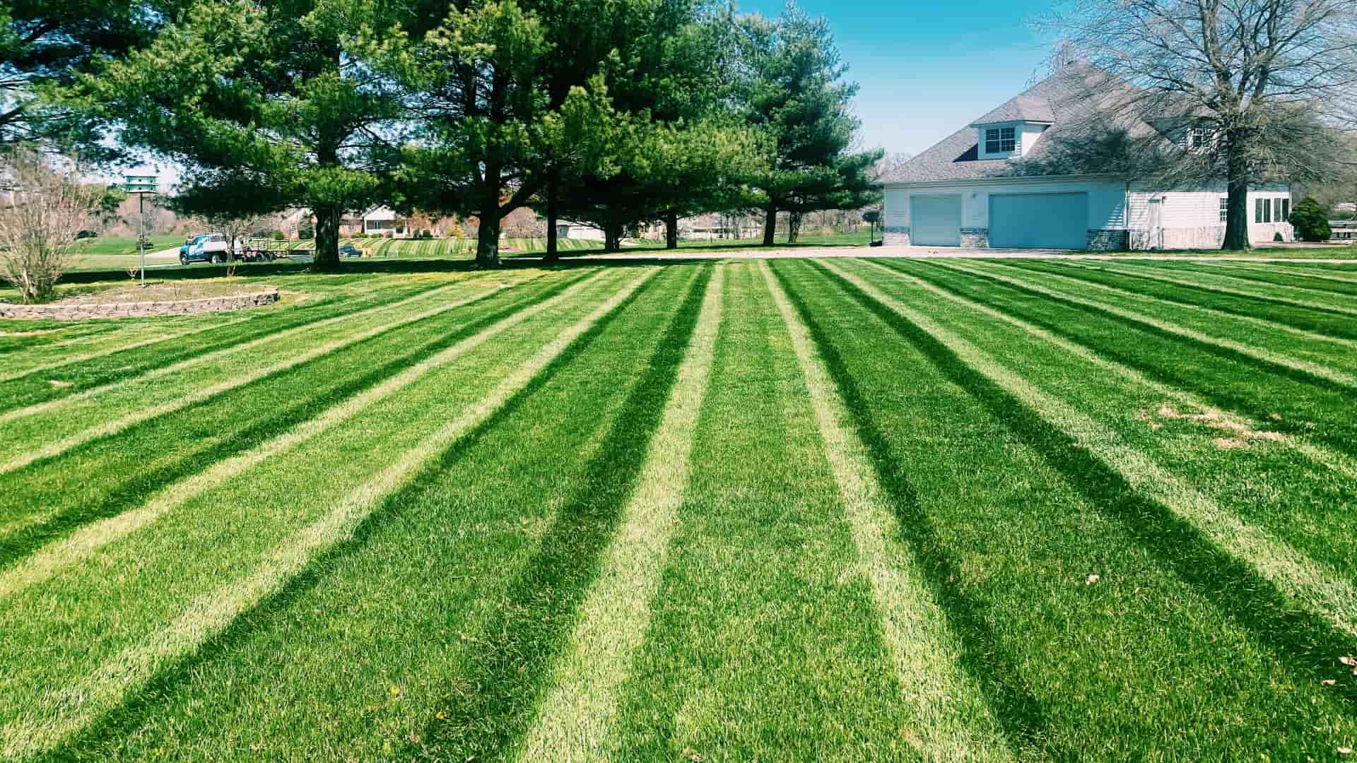 Lawn-N-Order Banner Background