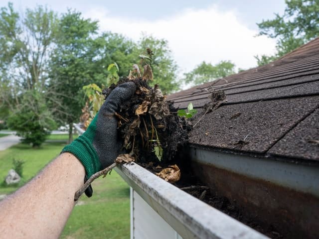 Gutter Cleaning Service Image