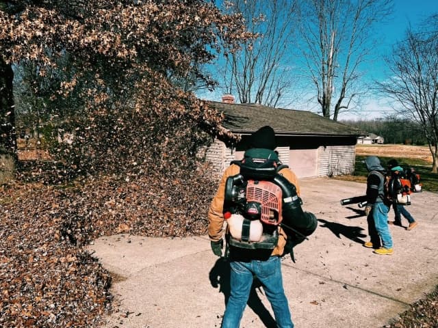 Leaf Removal Service Image