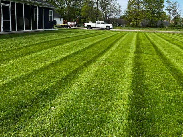 Spring Lawn Mowing