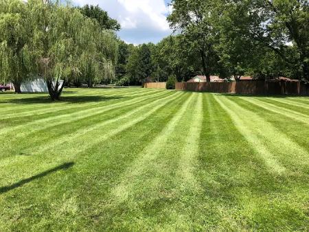 Lawn Mowing