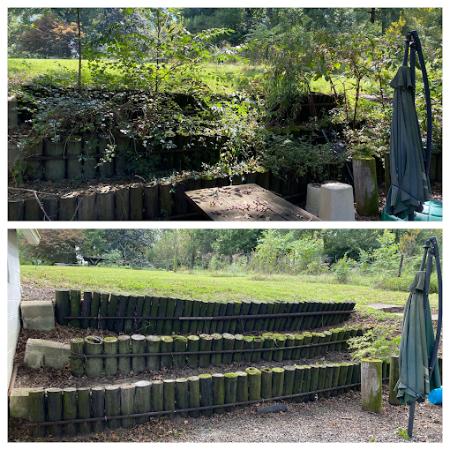 Spring & Fall Cleanup
